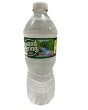 Load image into Gallery viewer, Poland Spring 16.9 fl oz
