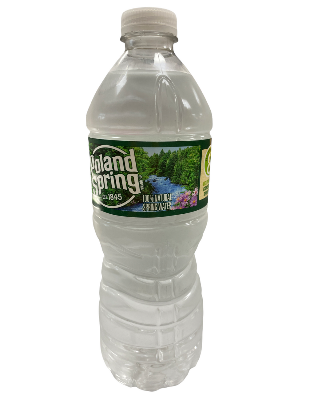 Poland Spring 16.9 fl oz